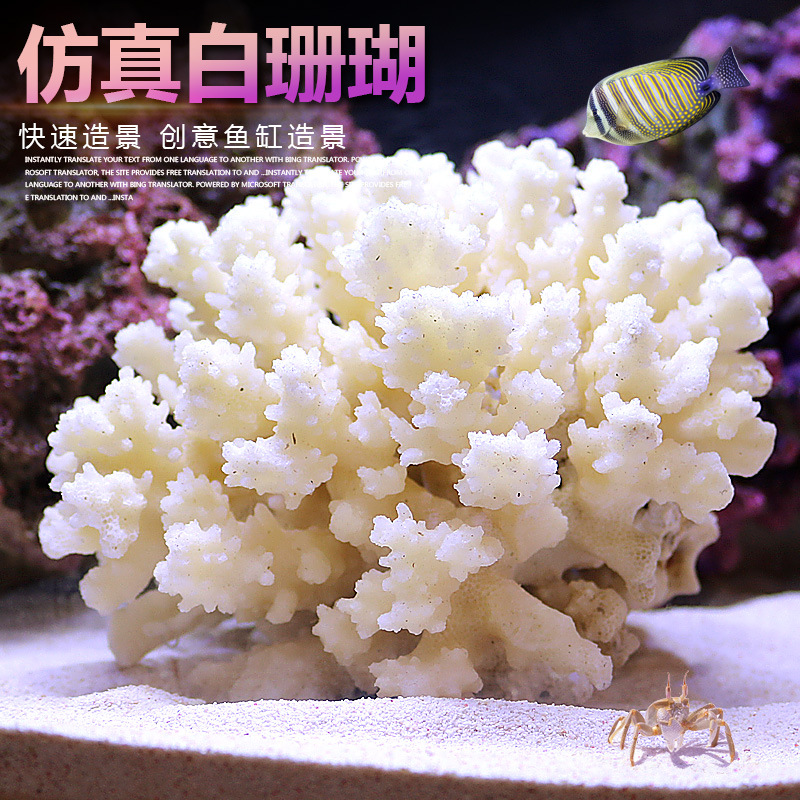 Marine Aquarium Epoxy - Set Paesaggistico per Acquario Piccolo con