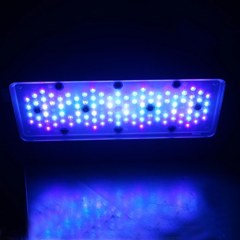 Luci LED per Barriera Corallin - Reef Lighting recensione e prezzo