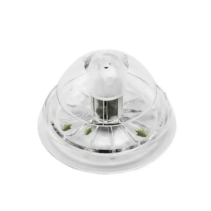 Nuova Trappola per Lumache in  - Marine Aquarium recensione e prezzo