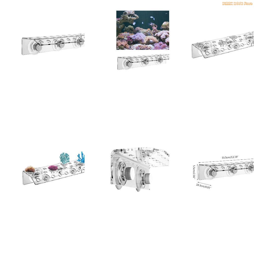 K1AE Porta-frammenti per coral - Reef Aquarium recensione e prezzo