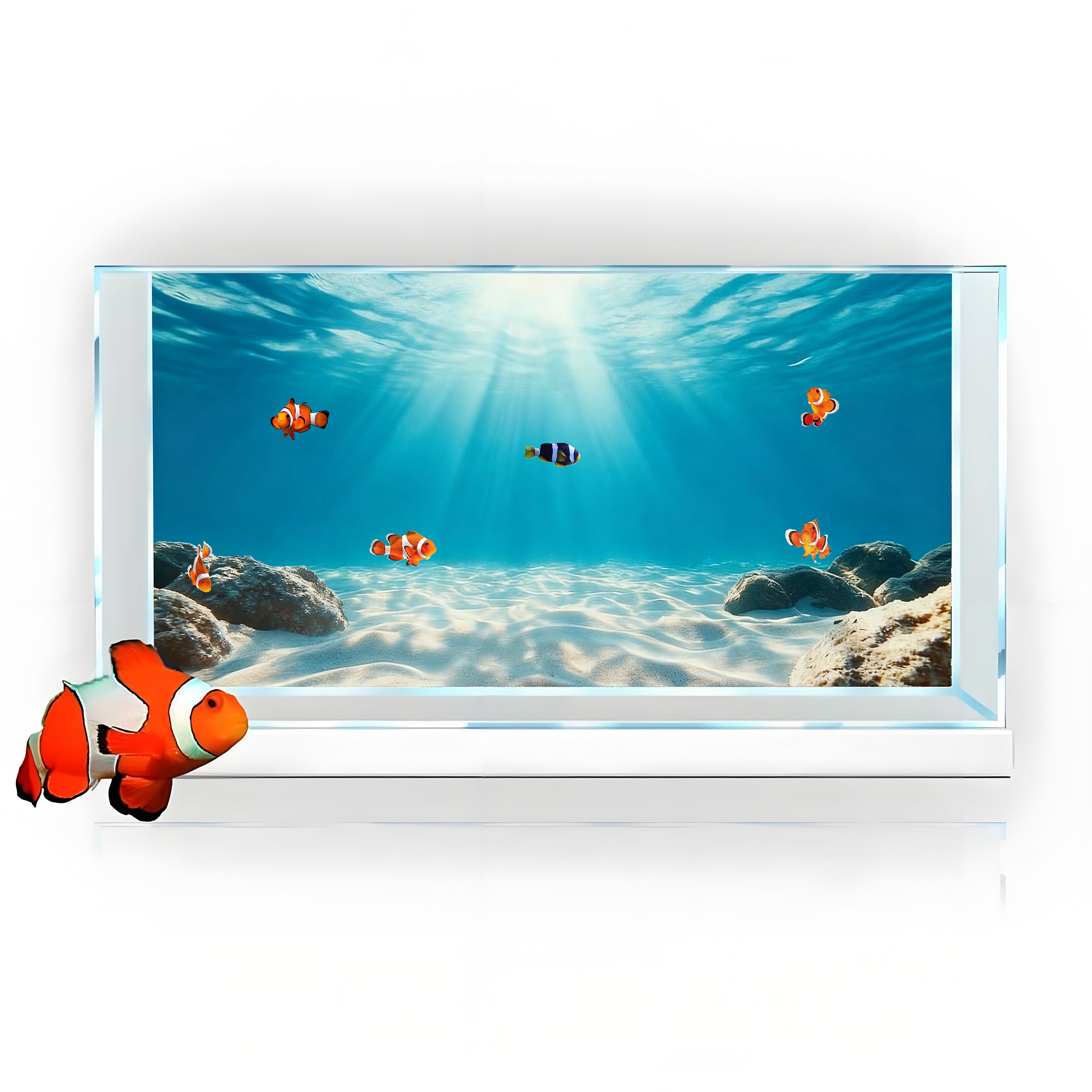 Sabbia Blu Trasparente, Decora - Saltwater Tank recensione e prezzo
