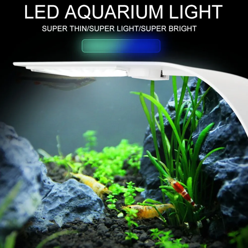 Mini luce per acquario a LED d - Reef Lighting recensione e prezzo