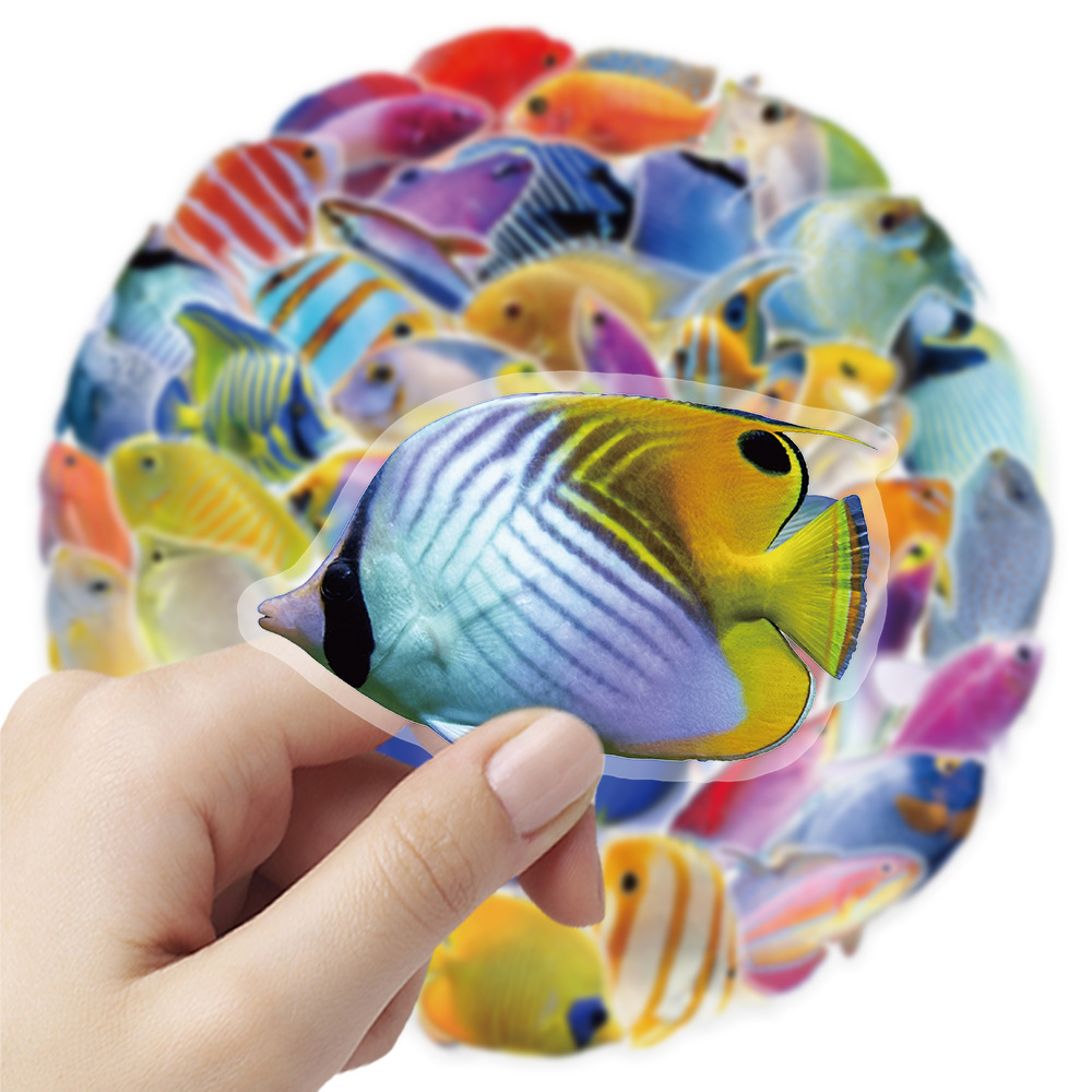 50-100 Pezzi Adesivi Trasparen - Marine Coral recensione e prezzo