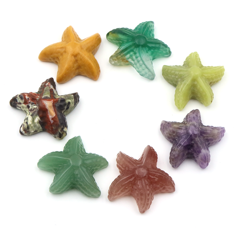 35mm Statua a forma di stella  - Marine Aquarium recensione e prezzo