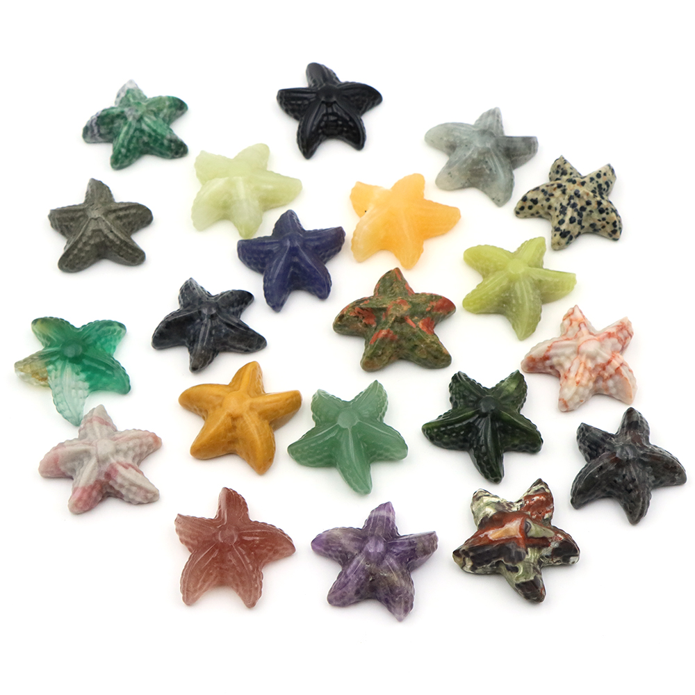 35mm Statua a forma di stella  - Marine Aquarium recensione e prezzo