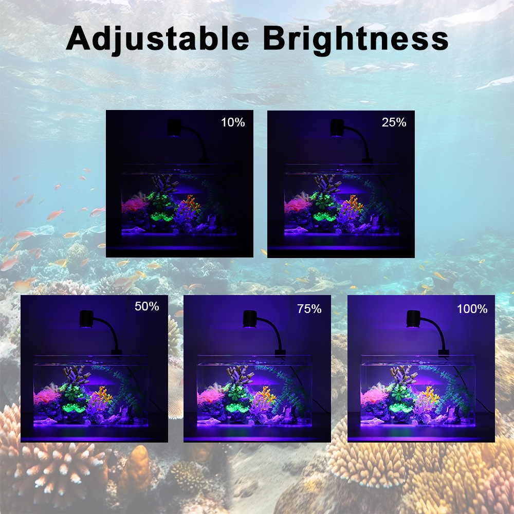 Lampada LED per Acquario a Spe - Reef Lighting recensione e prezzo