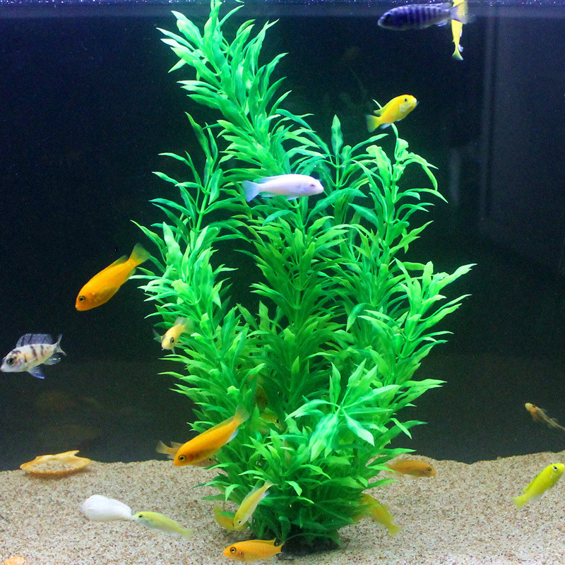 50CM Acquario artificiale Pian - Ocean Aquarium recensione e prezzo