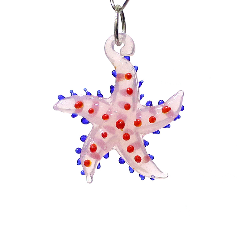 Animali marini carini, fascino - Marine Aquarium recensione e prezzo
