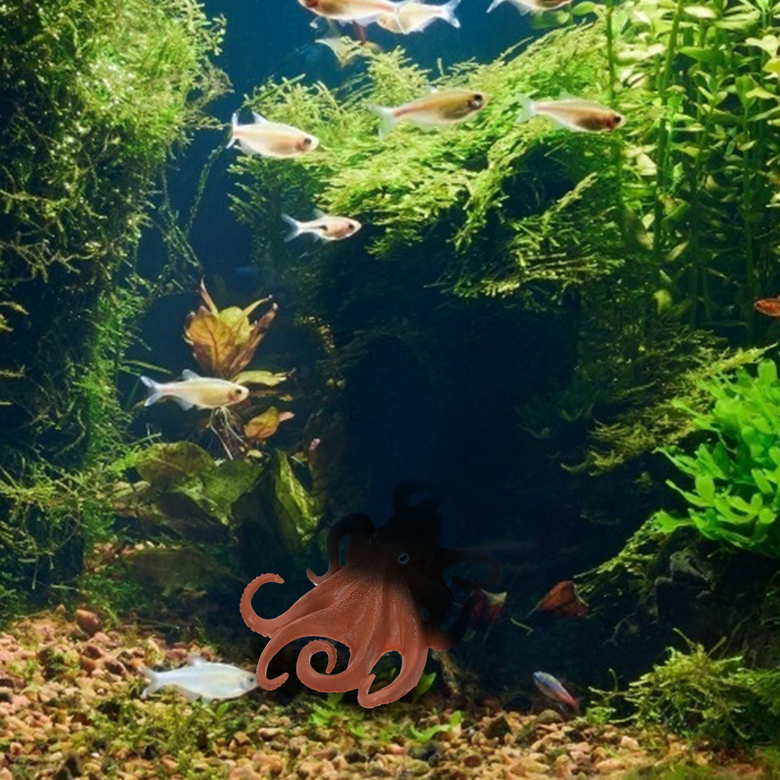1 pezzo, decorazione in plasti - Ocean Aquarium recensione e prezzo