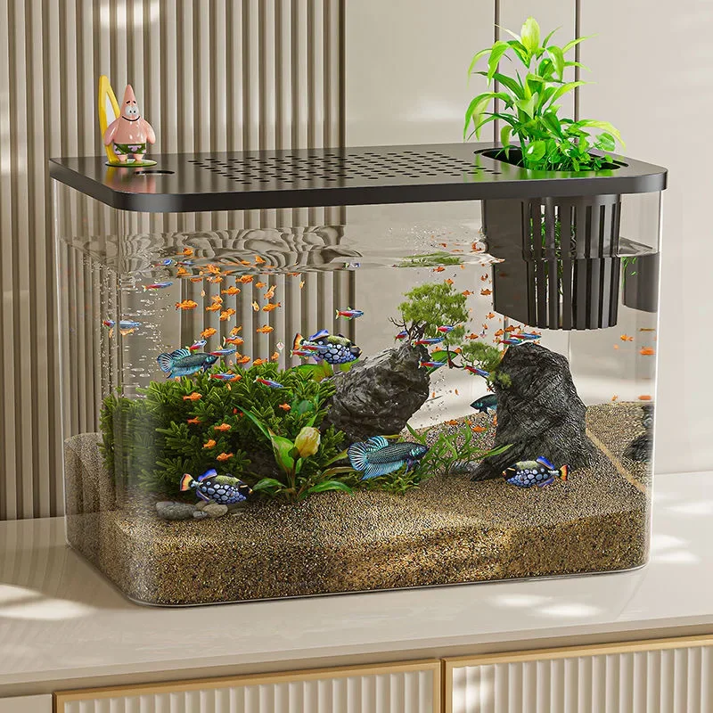 PET + ABS acquario nuovo trasp - Ocean Aquarium recensione e prezzo