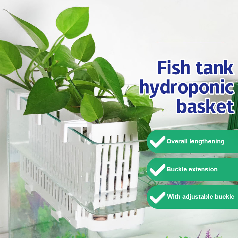 【F】Porta-piante sospeso per ac - Marine Aquarium recensione e prezzo